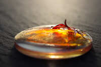 https://images.plurk.com/29e3KeMjgOvPRnd38og3jH.jpg