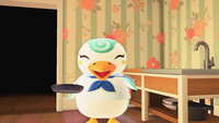 https://images.plurk.com/29fbJ2Gx5FDTd8WfwJRMBC.jpg