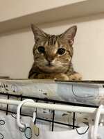 https://images.plurk.com/29goT0pWdu3AFD7EH4IRkJ.jpg