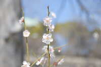 https://images.plurk.com/29kveX9TLKMOTzc6QKAtGC.jpg