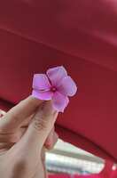 https://images.plurk.com/29qUqvKbhckCCVCYsZMPAk.jpg