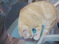 https://images.plurk.com/29ubB84agYUb3vw30rsA7A.jpg