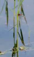 https://images.plurk.com/2A1u5WgSoUIavSnY5hZelr.gif
