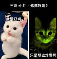 https://images.plurk.com/2A6qRz6FgurwDXaa1S3BUU.png