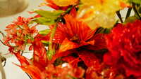 https://images.plurk.com/2A8x1RvUn6oa0PVRgEnKMQ.jpg