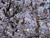 https://images.plurk.com/2A9i97YgTpbqCOIP3iqDdW.jpg