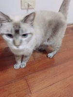 https://images.plurk.com/2AApnodsiLwvGfi892ZiBl.jpg