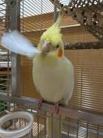 https://images.plurk.com/2AHppzpAPd7FMgF16Bu36N.jpg