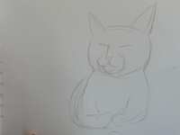 https://images.plurk.com/2AMbIyeXKXiaMk5RBfOh0Q.jpg