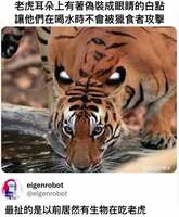 https://images.plurk.com/2APt2RtQDs63Pc1wFijBzR.jpg