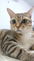 https://images.plurk.com/2AWG2W1f1sOi1mmFjGH69q.jpg