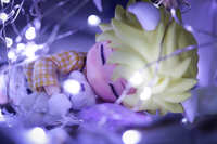 https://images.plurk.com/2AYovDdNtDZPC4mn8bFTge.jpg