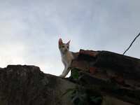 https://images.plurk.com/2AaIln0u1dRmzsnqHC7s0R.jpg