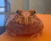 https://images.plurk.com/2Ag4oohW88Rl9L3s57T7Zb.jpg