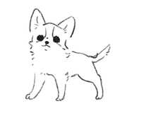 https://images.plurk.com/2ApPcTYA4R0KSCwvy0nAuw.jpg