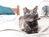 https://images.plurk.com/2ArK1gXEHMVa0C5BniSN39.jpg