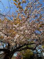 https://images.plurk.com/2As89Pe8DbUYukg5CvHurW.jpg
