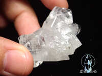 https://images.plurk.com/2B3HywksZ2R6O3B5OaMYRQ.jpg