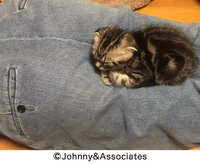 https://images.plurk.com/2B969gBcjJ0sF8uJVFxRey.jpg