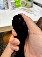 https://images.plurk.com/2BORz94vQ3ZclrIbElvQnr.jpg