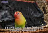 https://images.plurk.com/2BQkUl2tp61rB7hmgGNx6f.png