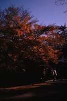 https://images.plurk.com/2BTTW4kw5oW4kQachxX6Ky.jpg