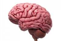 https://images.plurk.com/2BWL1Cl76J6RtVFV69ygLR.png