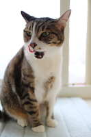 https://images.plurk.com/2BZjOnYfMVmJva8yoc8lIY.jpg