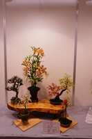 https://images.plurk.com/2BdEwexCsZI4XNE6XNK4LO.jpg
