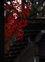 https://images.plurk.com/2Be5O7rg1iTeLuHY7hSEko.jpg