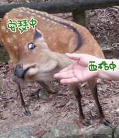 https://images.plurk.com/2BqILQIpvgDvQSBGqmYfcG.png