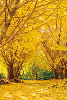 https://images.plurk.com/2BqJfRy5188GX7N2Su7oxV.jpg
