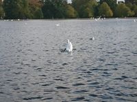 https://images.plurk.com/2BshykrINGbr3thiNH1Cra.jpg