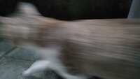 https://images.plurk.com/2BtjnniGzY1fPuAUuPdDrO.jpg