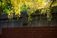 https://images.plurk.com/2Byvc1R1wqWNDzi5yZQvDf.jpg