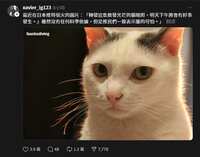 https://images.plurk.com/2C1xCbDAFUgWeupe2VbAGk.png