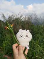 https://images.plurk.com/2C6CrNSMgwCObYWUJf4DGf.jpg