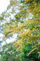 https://images.plurk.com/2C6qXvI29R4ZictQiG1nOm.jpg