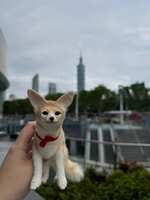 https://images.plurk.com/2CAk3R3XIX0eJpTvnOyYH2.jpg