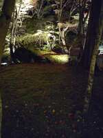 https://images.plurk.com/2CDjrwp4HJ2D27QQxXOtSr.jpg