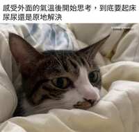https://images.plurk.com/2CFNkDUpSZU29xC567wNtm.jpg