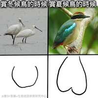 https://images.plurk.com/2CJj82MDe4n134rzMHUhMl.jpg
