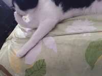 https://images.plurk.com/2CO6B1iTvzJX0L4cDPIl8c.jpg