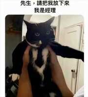 https://images.plurk.com/2CRAgnvZ4bGCCSnXsihGfm.jpg