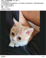 https://images.plurk.com/2CXgdfs6wLRui0DrjXuT71.png
