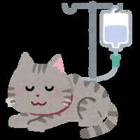https://images.plurk.com/2CbV2J2z3kAC3KYqNWXoqV.png
