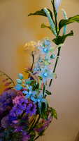 https://images.plurk.com/2Ccb9kPP8rJppTVpoj09fm.jpg