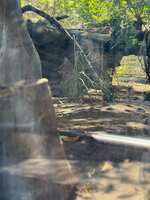 https://images.plurk.com/2CdnoYF2uIVlZVmNwhsmVh.jpg
