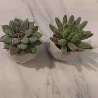 https://images.plurk.com/2Cfc51dNBexbTuuEUquvL7.jpg