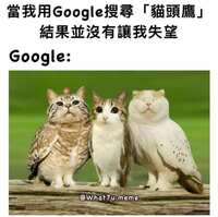 https://images.plurk.com/2Ch4JY4j9ri08OhAFmgsOS.jpg
